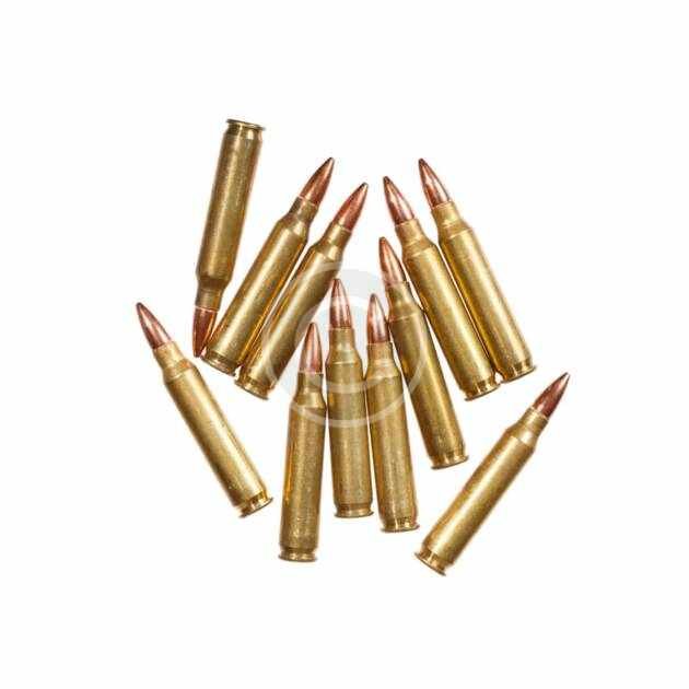 5.56x45mm Catridges